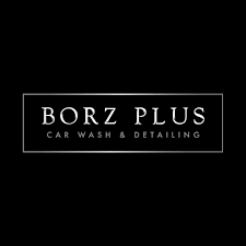 BORZ PLUS OTO YIKAMA